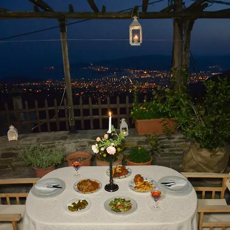 Traditional Mansion Calliopec-uvc Sterilized