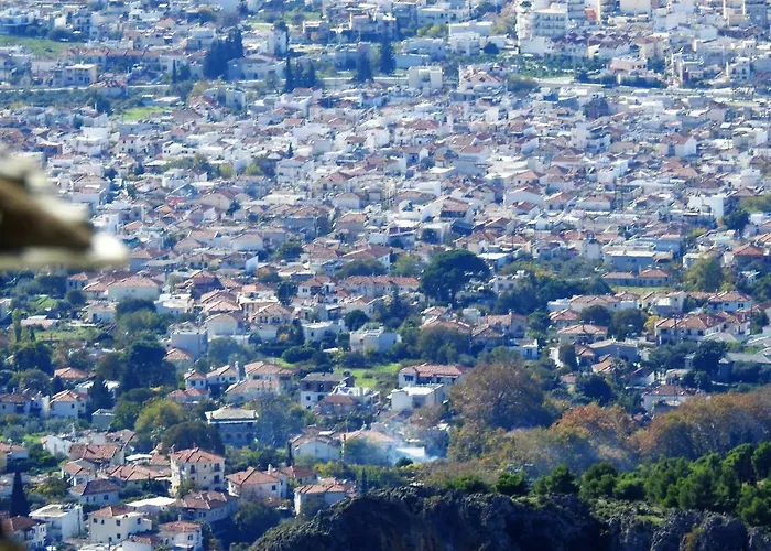 Σπίτι διακοπών Traditional Mansion Calliopec-uvc Sterilized Μακρινίτσα