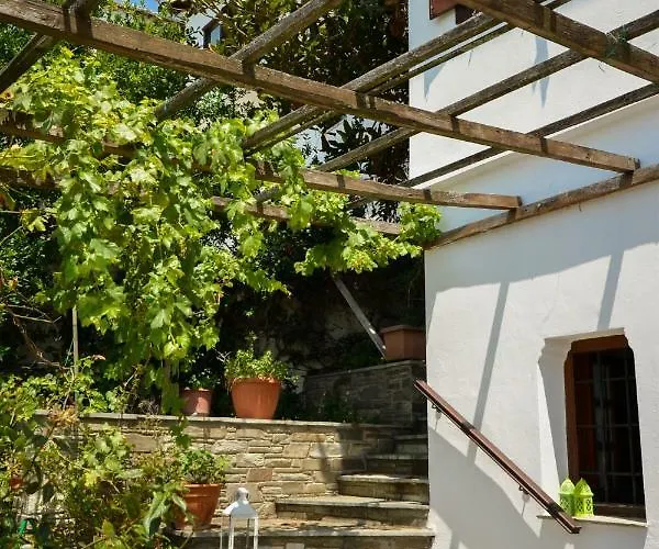 Traditional Mansion Calliopec-uvc Sterilized Σπίτι διακοπών Μακρινίτσα