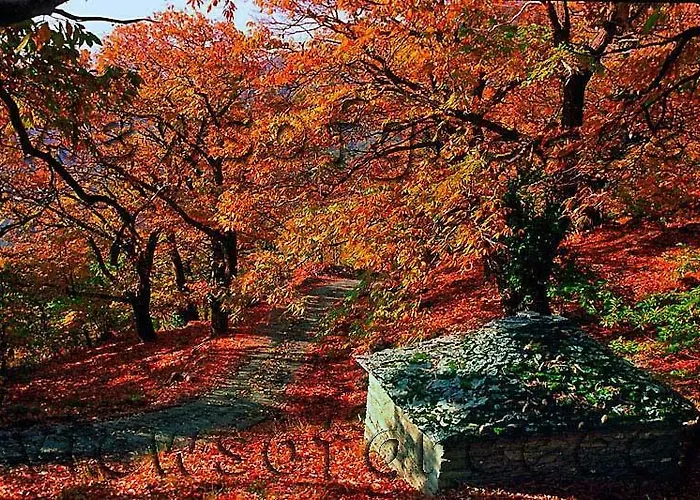 Traditional Mansion Calliopec-uvc Sterilized *